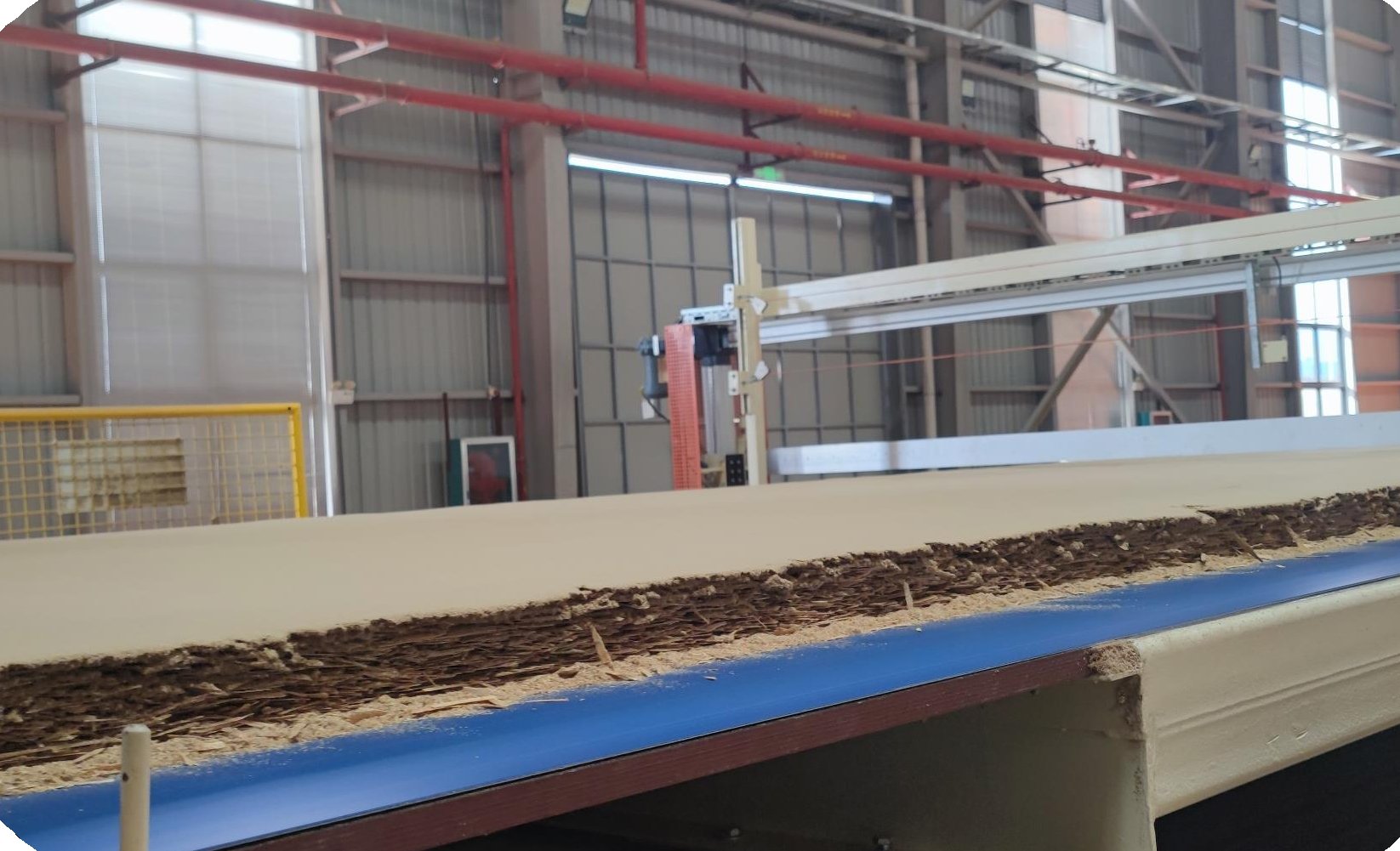 Wood chips conveyed on a belt in a wood-based panel production line
